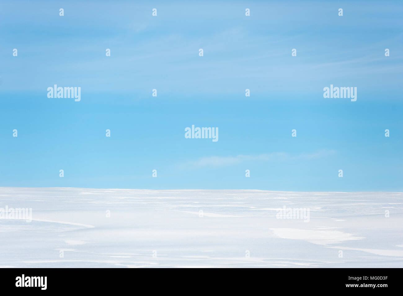Clear blue sky over snow covered field. Stock Photo