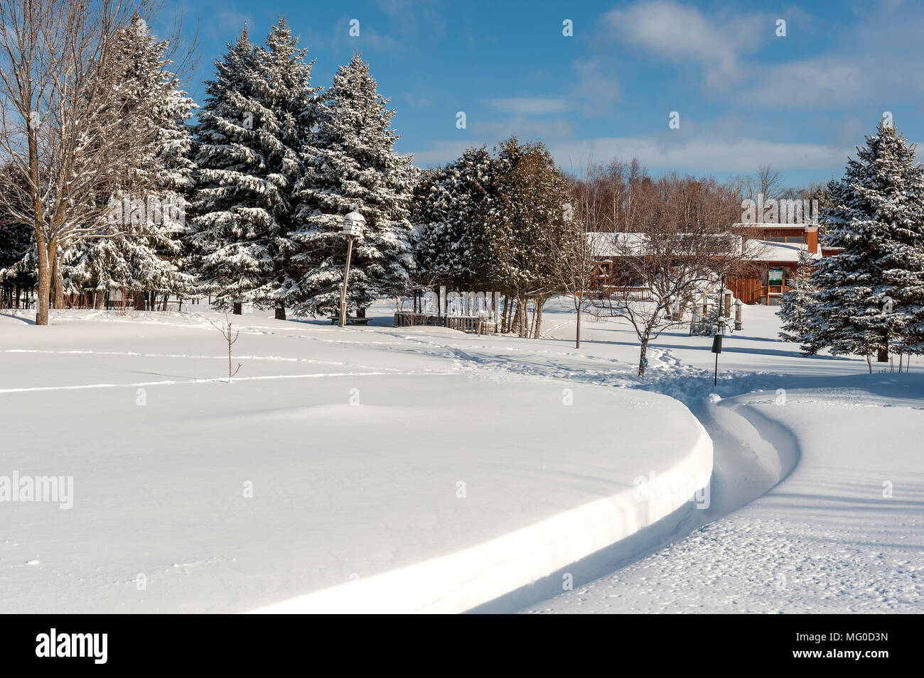 Path Through Snow Stock Photo Alamy