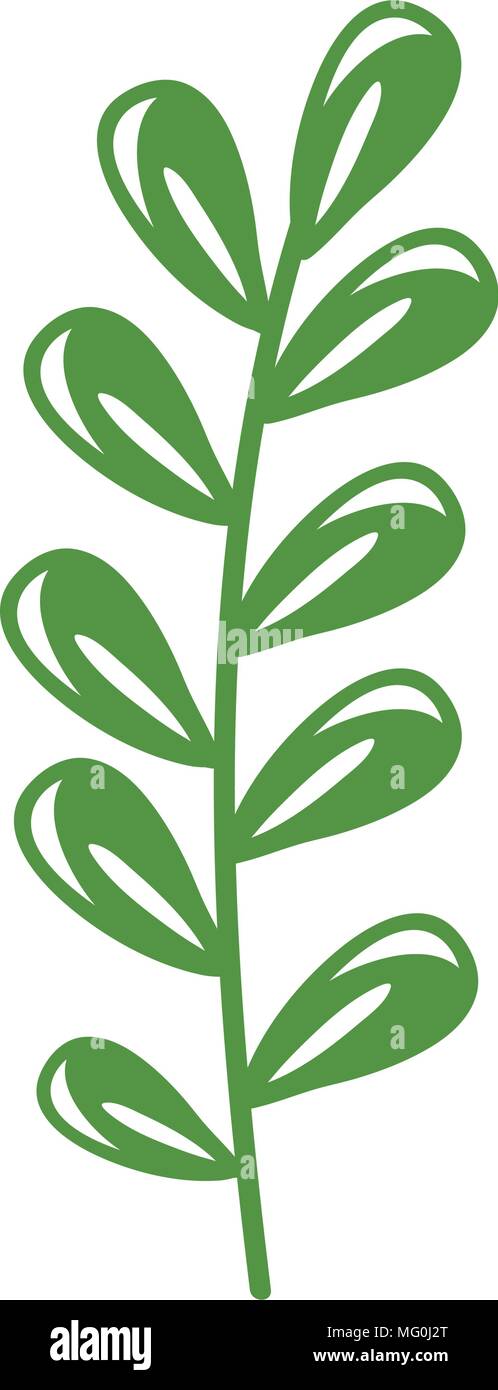 branch with leafs decorative icon vector illustration design Stock ...