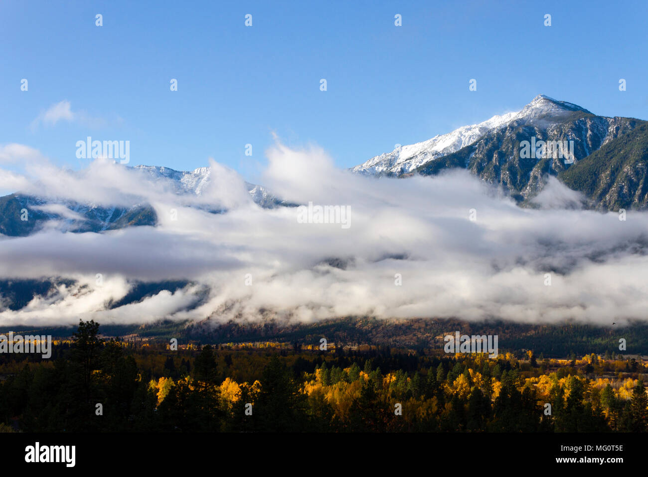 British colors hires stock photography and images Alamy