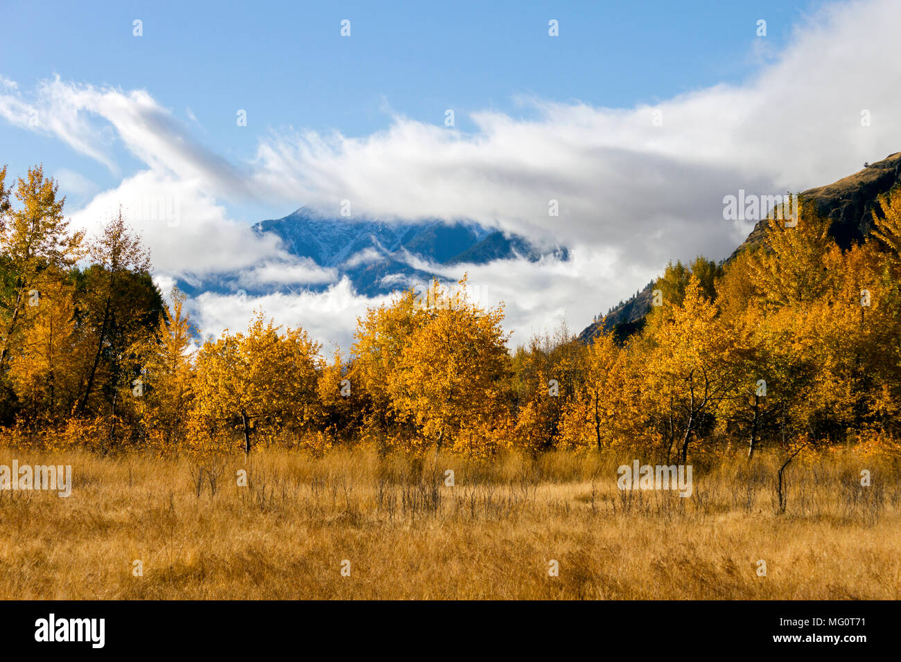 Autumn landscape of fall colors in the Similkameen Valley near Cawston, British Columbia, Canada