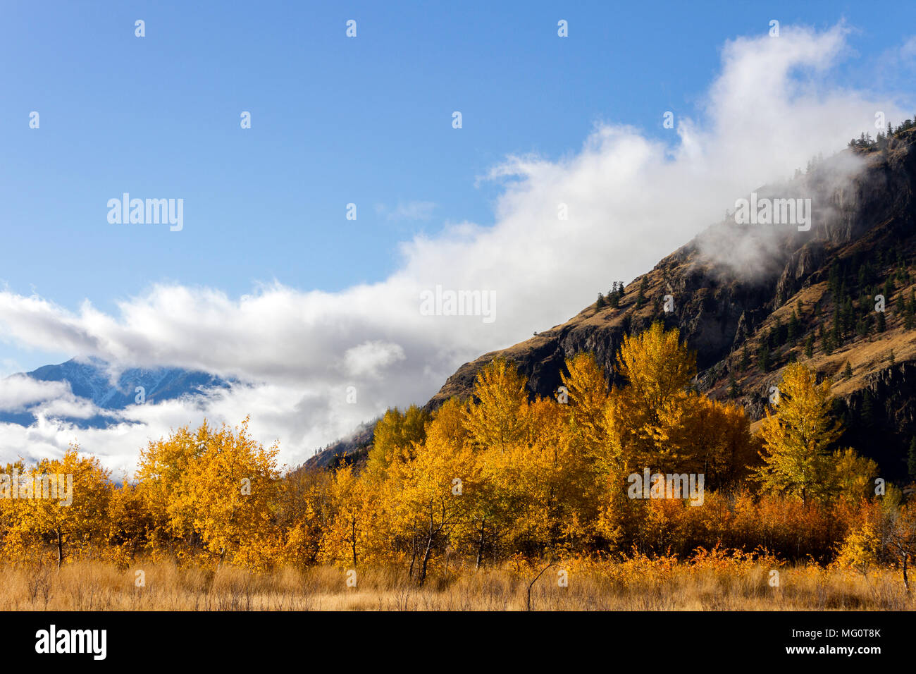 Autumn landscape of fall colors in the Similkameen Valley near Cawston, British Columbia, Canada