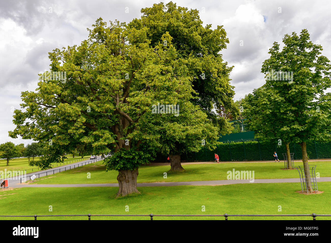 Phoenix park, Dublin, Ireland Stock Photo Alamy