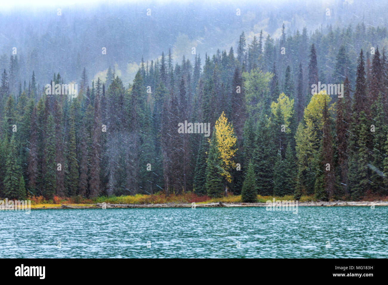 Duffy Lake, BC, Canada Stock Photo