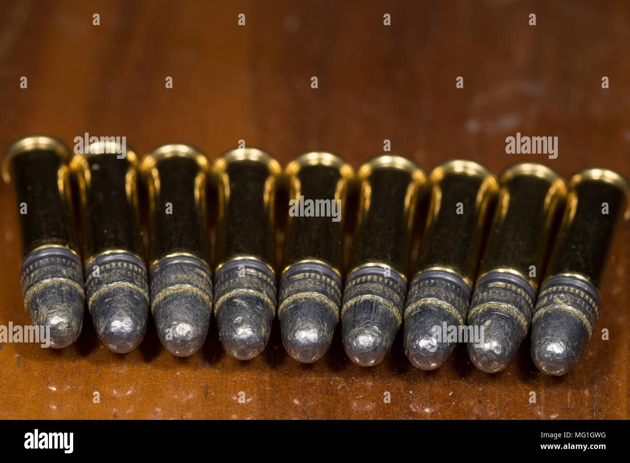 22LR Ammunition Stock Photo