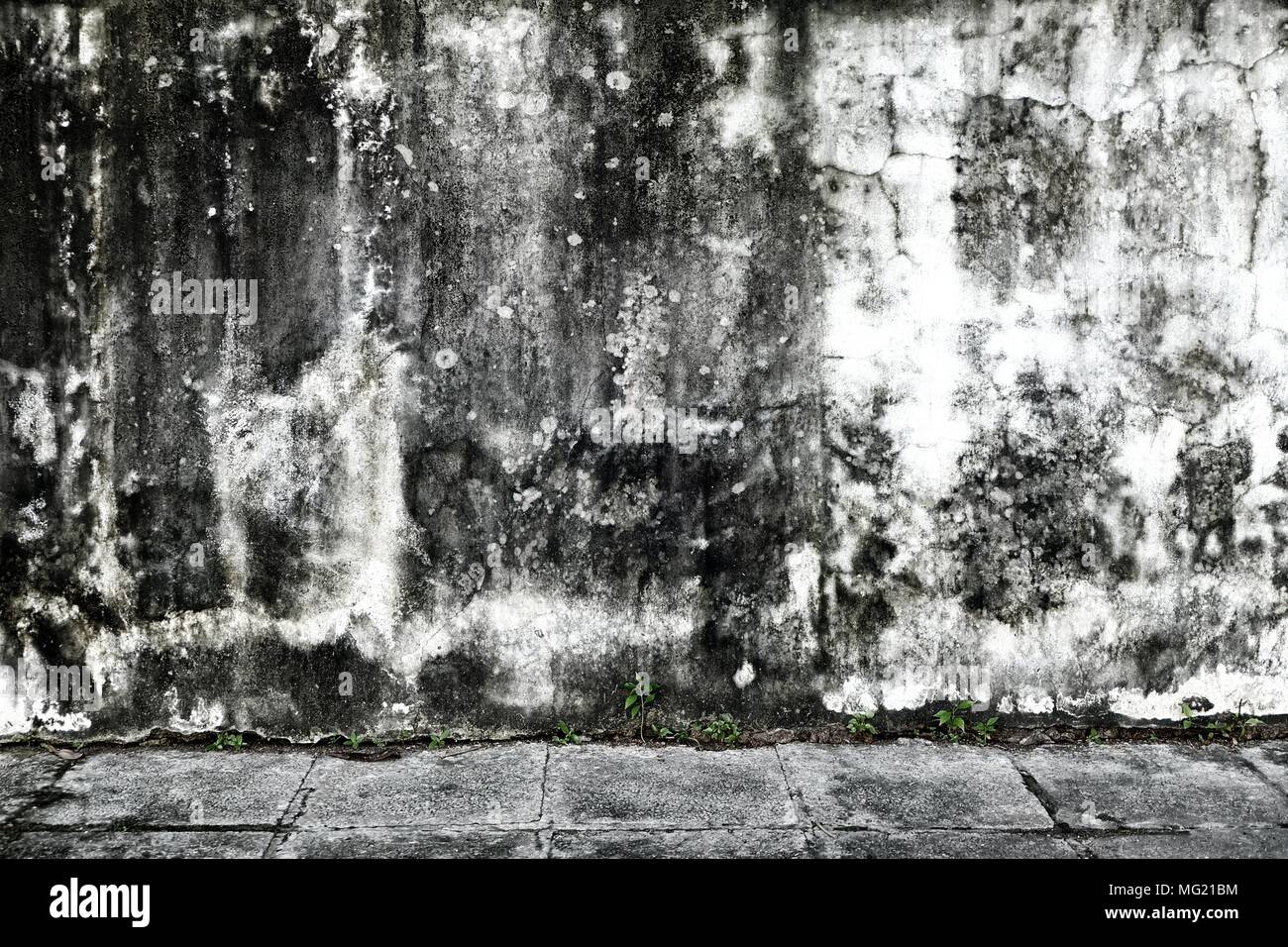 Pavement show hi-res stock photography and images - Alamy