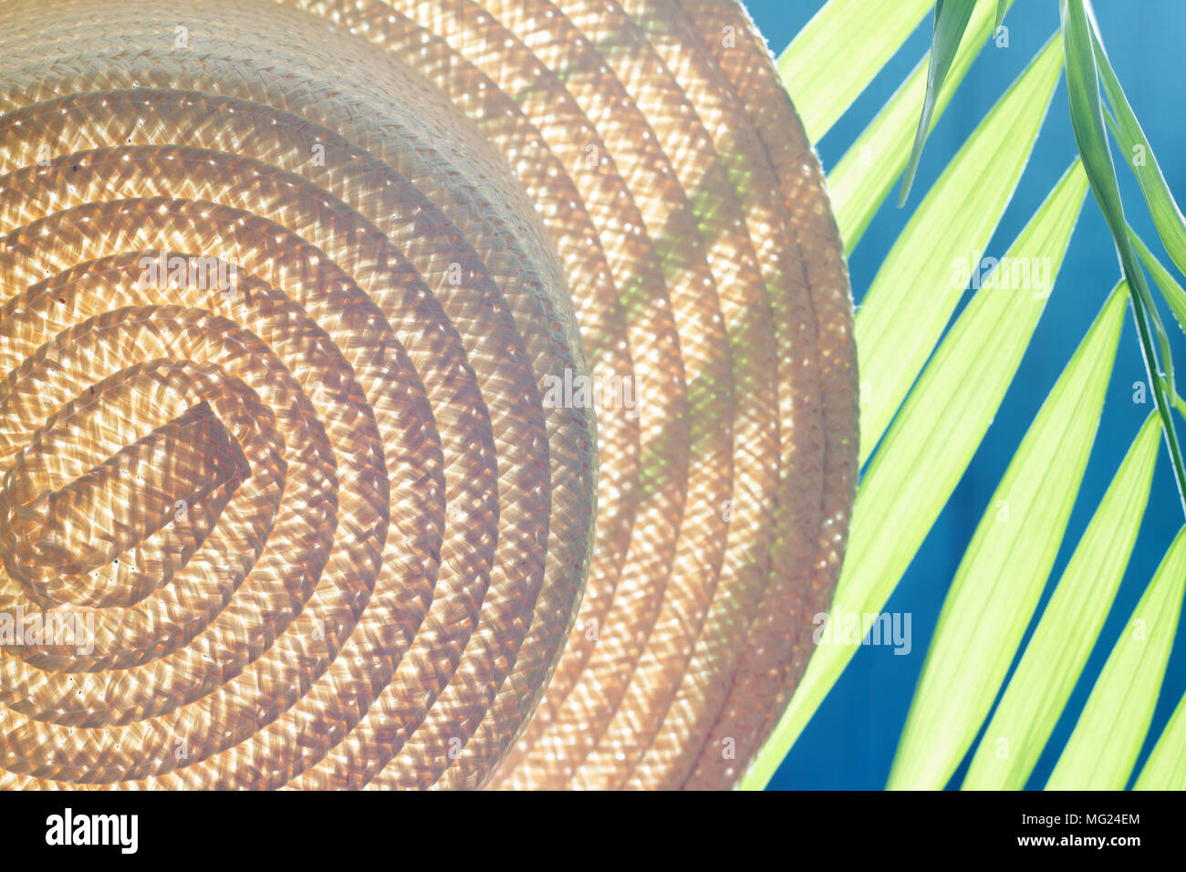 Sun hat and palm abstract summer background Stock Photo