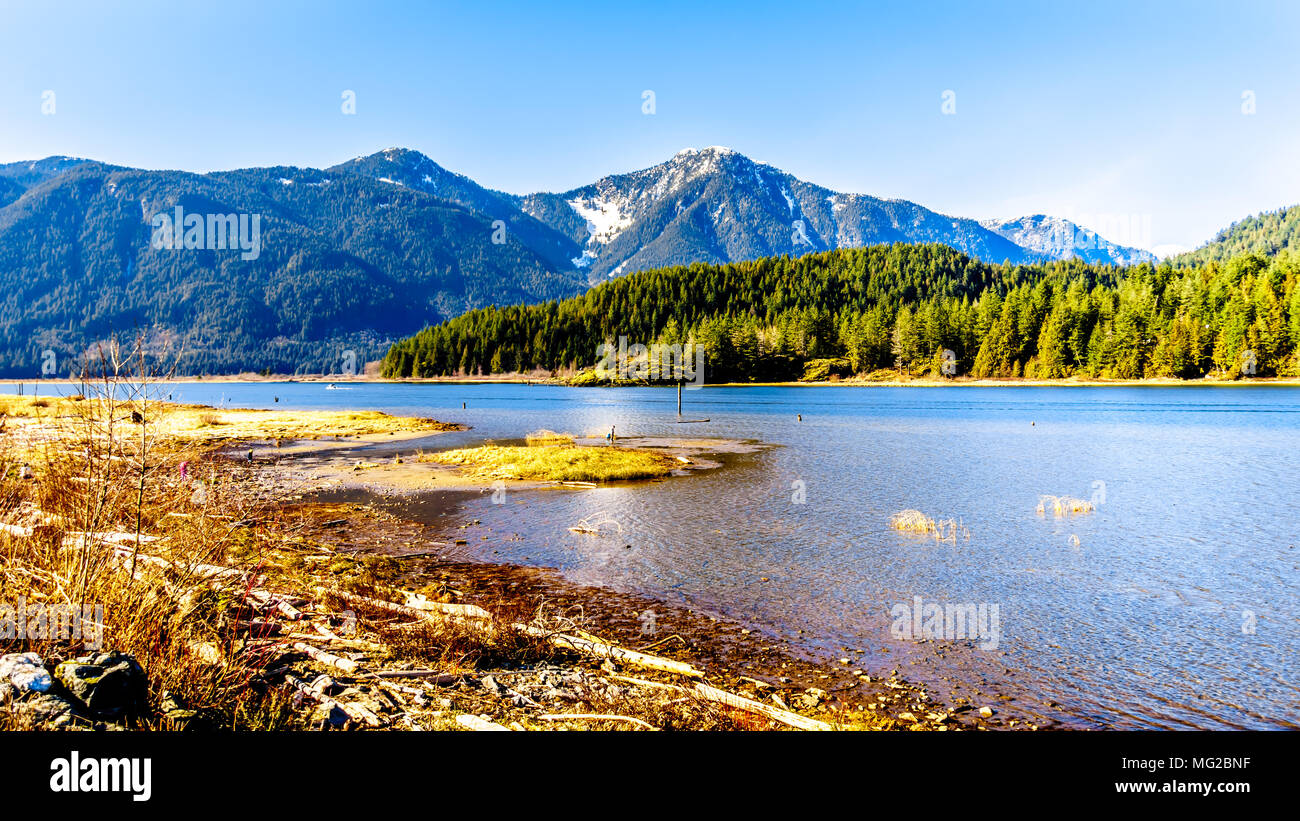 The Pitt River entrance to Pitt Lake with the Snow Capped Peaks of the