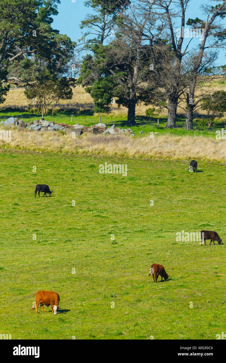 Rural farming land along Mount Lindesay Road on the outskirts of the