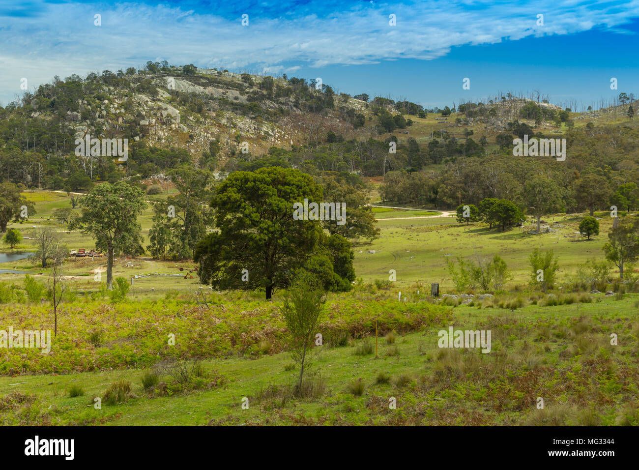 Northern tablelands region of nsw hires stock photography and images