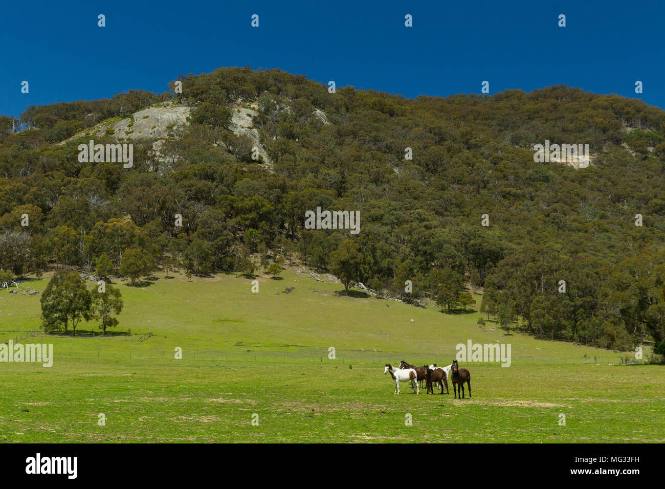 Rural farming lands out along Mount Mackenzie Road in Tenterfield, New