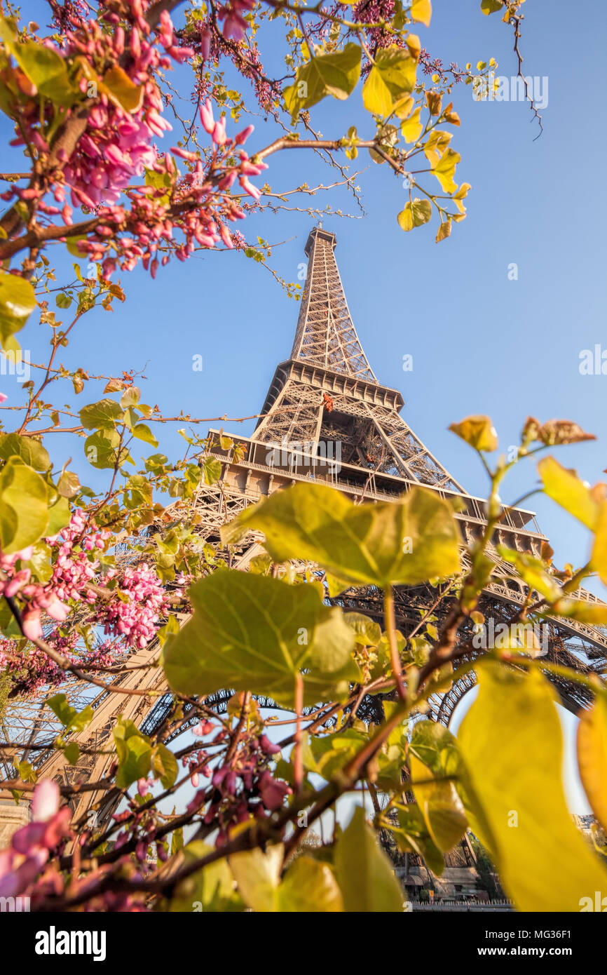 Eiffel Tower during spring time in Paris, France Stock Photo Alamy