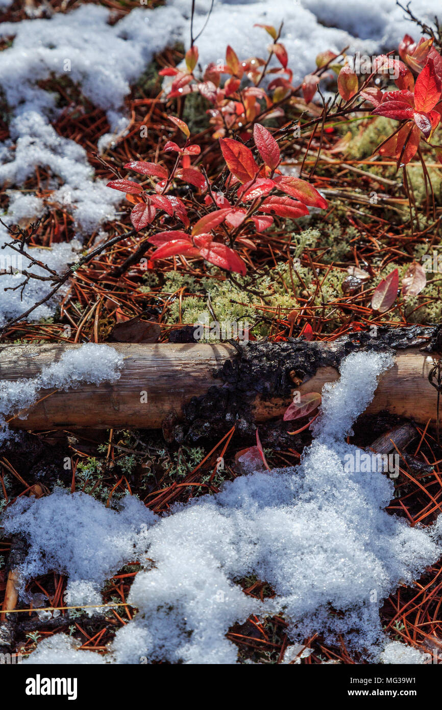 jackman hires stock photography and images Alamy