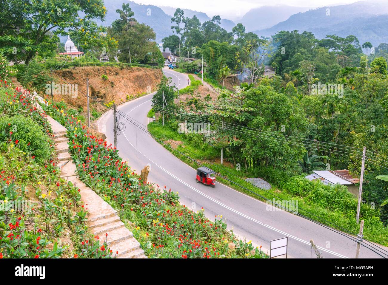 Ceylon scenery and scenery hi-res stock photography and images - Alamy