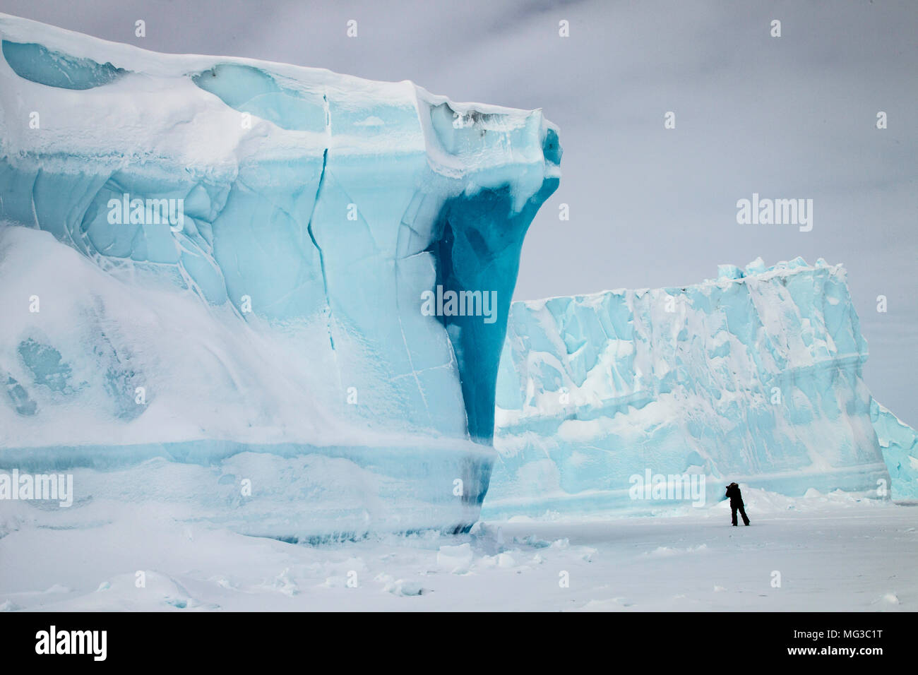Icebergs frozen into the fjords of Baffin Island, Nunavut, Canada Stock Photo