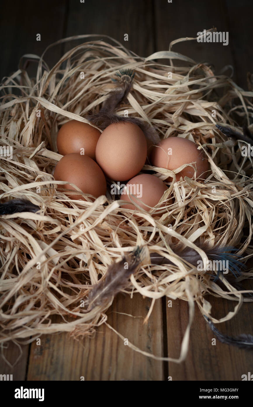 Chicken eggs in the straw nest with feathers on wooden boards, closeup ...