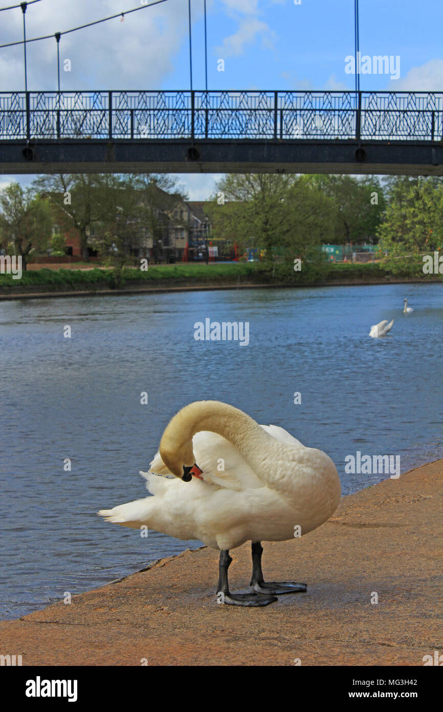 Britian industrial revolution hi-res stock photography and images - Alamy