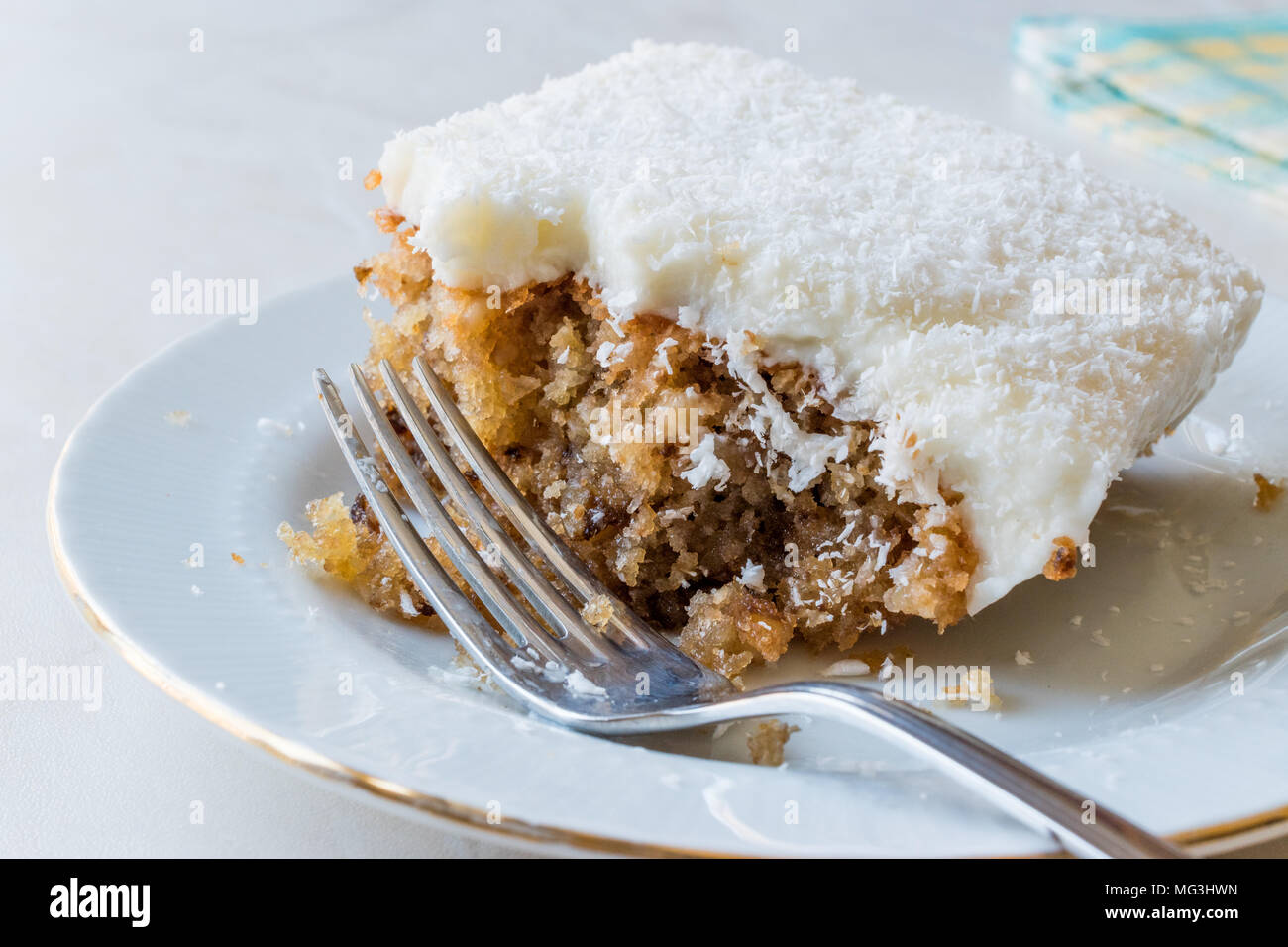 Cyprus Dessert also called Trilece / Kibris Tatlisi / Muhallebi Milk Pudding with Walnut and Breadcrumbs. Traditional Food. Stock Photo