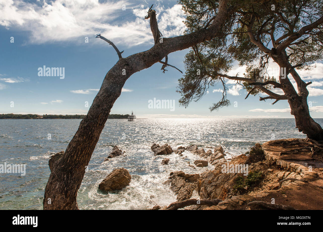 The coast of Île Sainte Marguerite off the Côte d'Azur, France Stock Photo Alamy