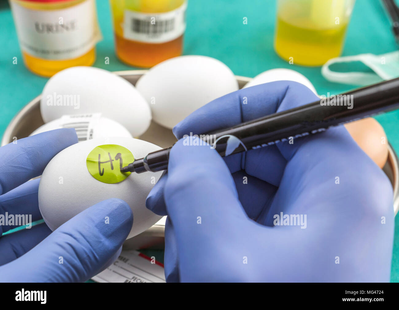 Scientific brand with label eggs in poor condition to examine in the laboratory, clinical, conceptual image Stock Photo