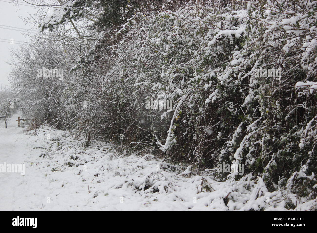 Snow, wintertime, oxfordshire Stock Photo