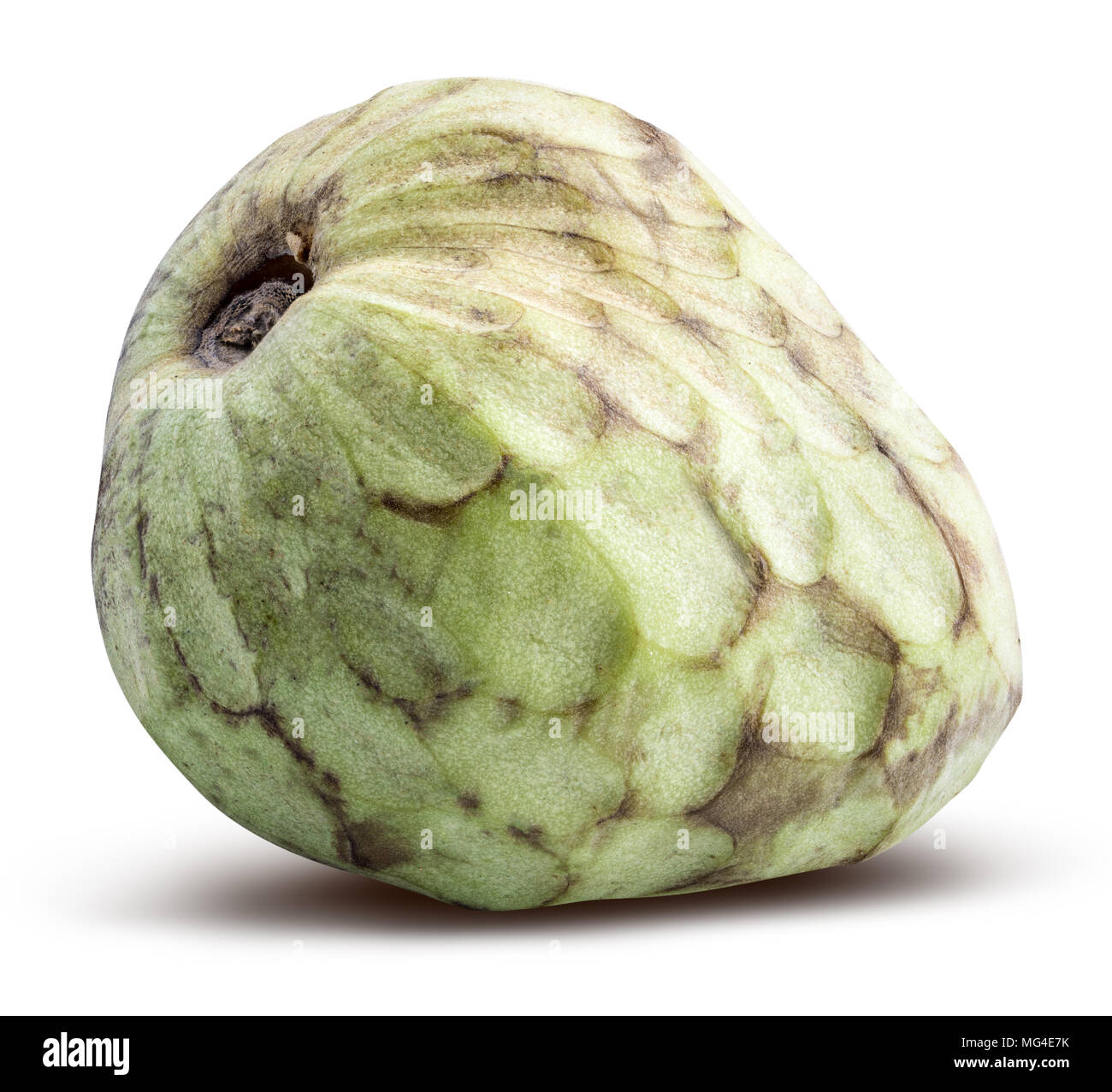 Fresh green cherimoya (sugar apple) isolated on white background with