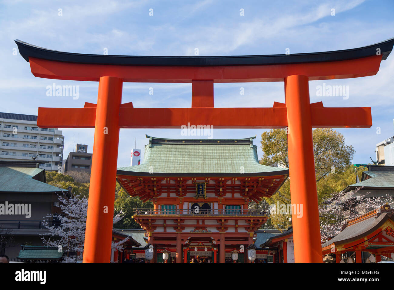 Ikuta Jinja shrine, Kobe, Kansai, Japan Stock Photo