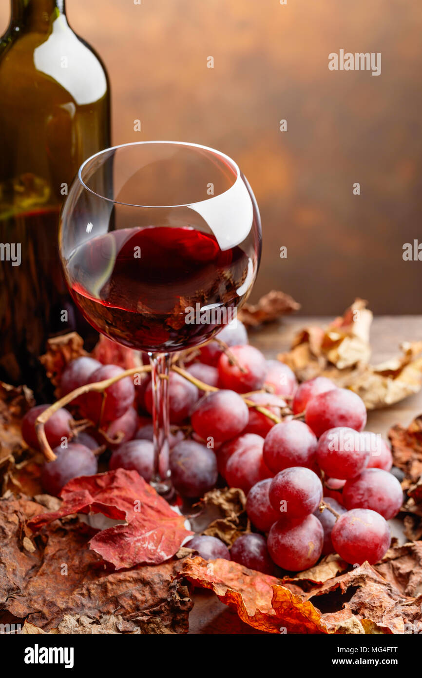 Glass and bottle of red wine on a table with grapes and dried up vine ...