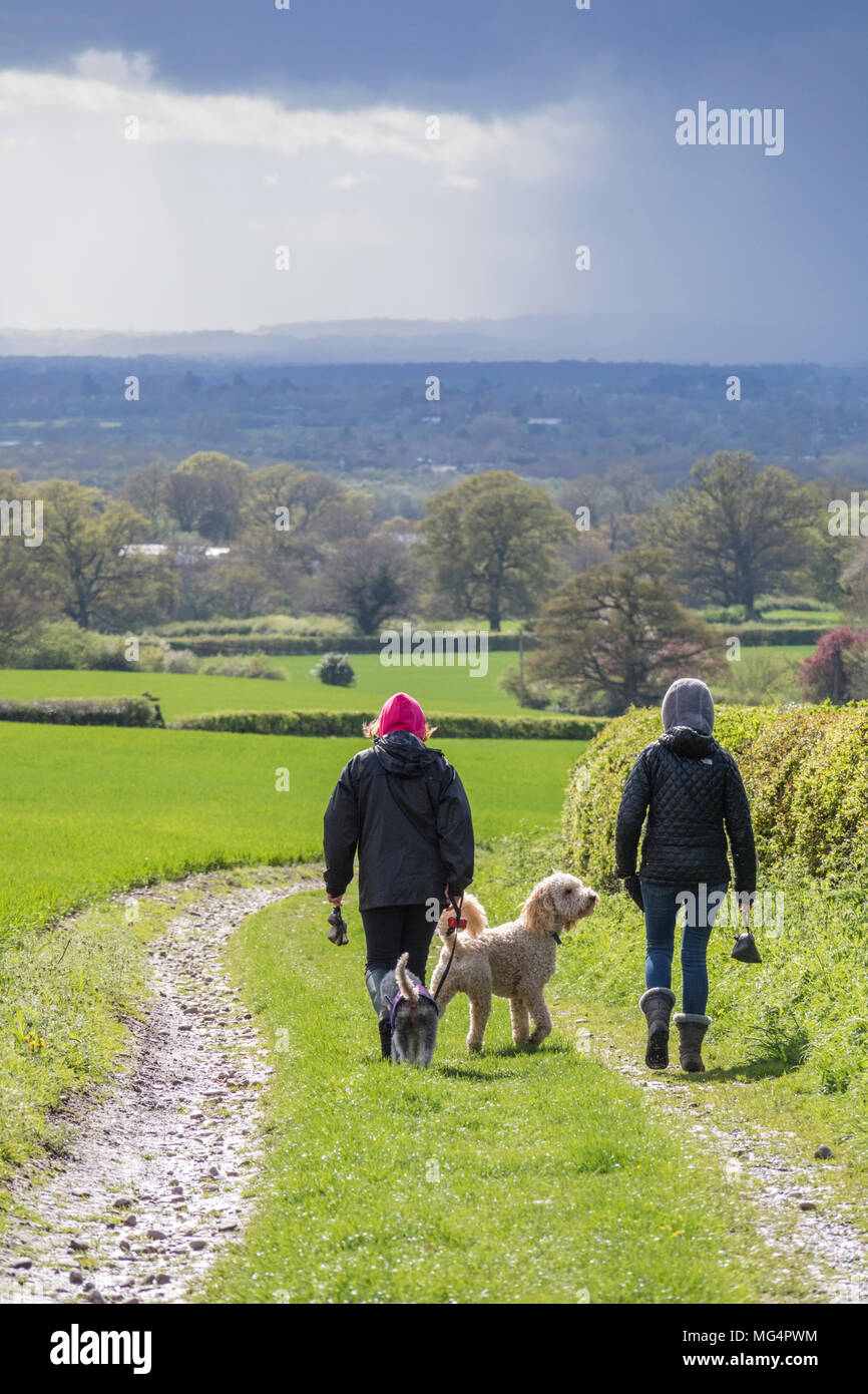 Walking the dogs hires stock photography and images Alamy