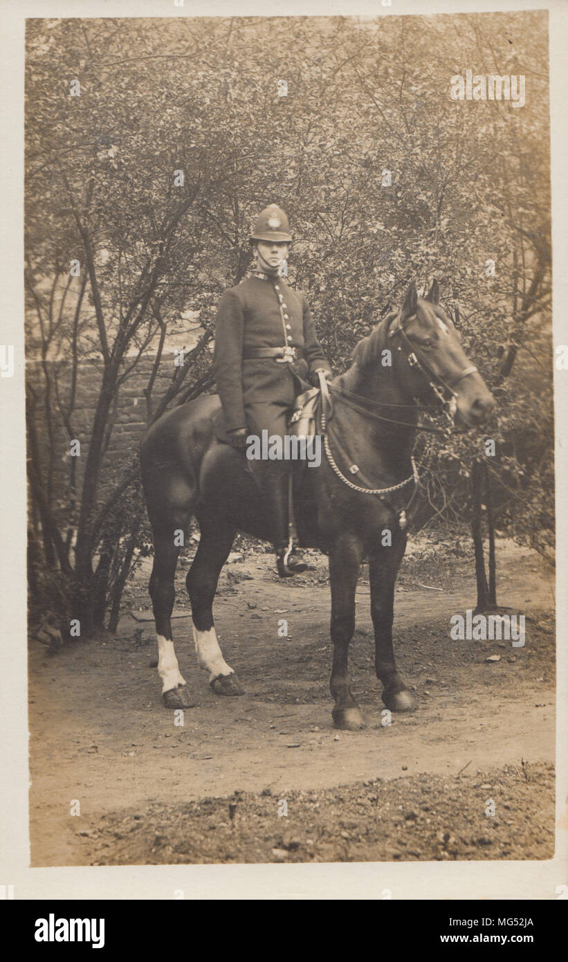 Police horse mounted london hi-res stock photography and images - Alamy