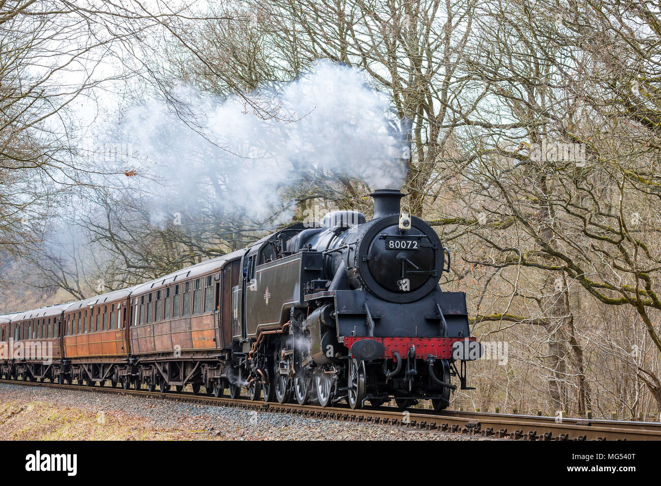 Landscape front view of oncoming vintage UK steam locomotive puffing through rural British countryside on SVR heritage line in spring. Stock Photo
