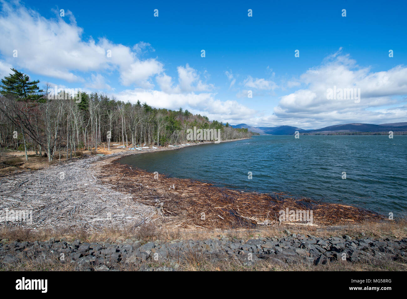 Shoreline and Distant Mountains at the Ashokan Reservoir. Beautiful Spring Morning, Blue Sky with Clouds and accumulated Driftwood and Stone Wall. Stock Photo