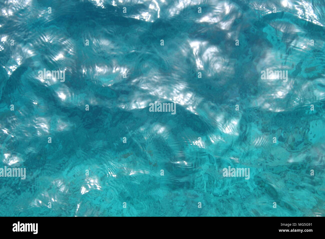 Saudi arabia underwater red sea hires stock photography and images Alamy