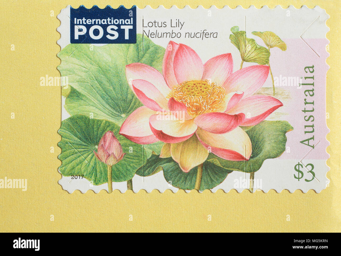 Australian stamp with lotus flower on, posted to England, UK Stock Photo