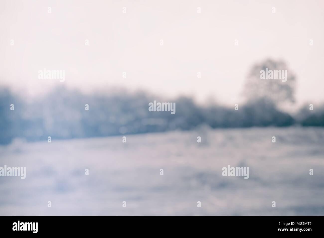 Blurred Field with Tree and Light leak. Stock Photo