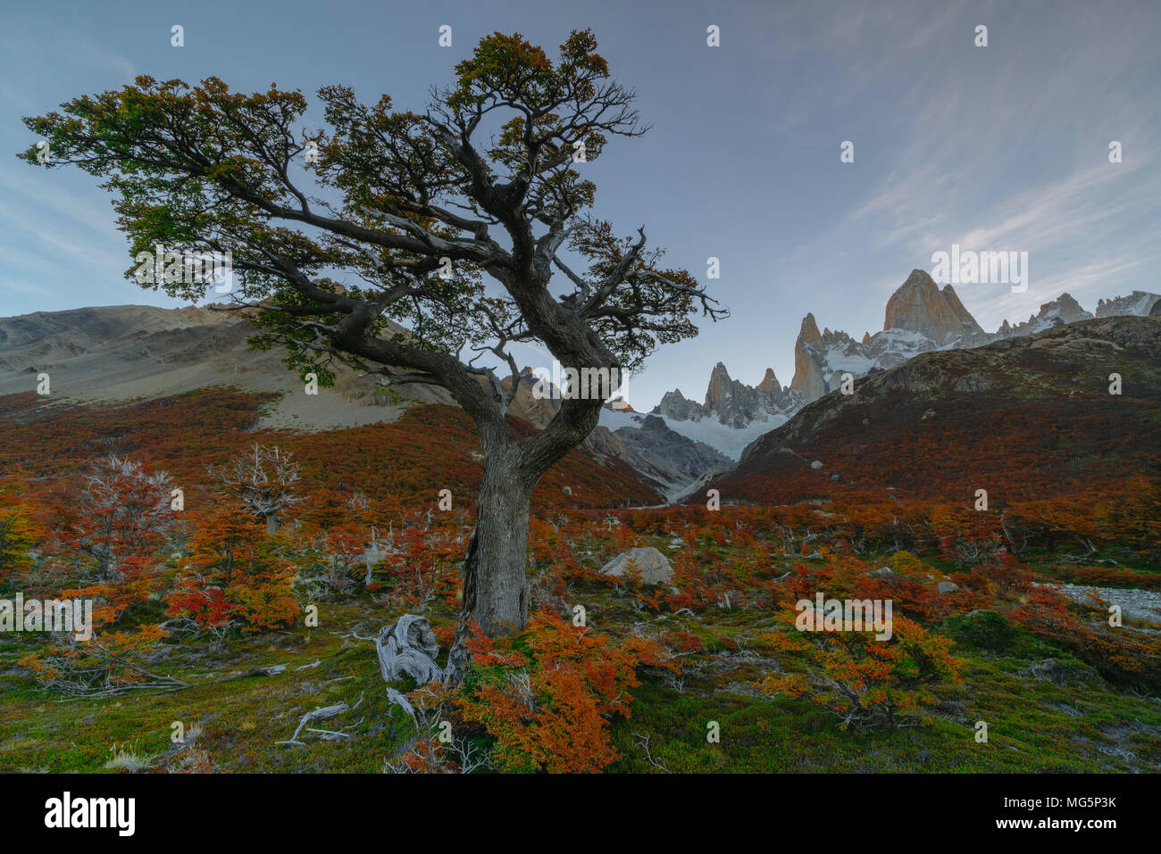 View of Mount Fitz Roy in the National Park Los Glaciares National Park ...