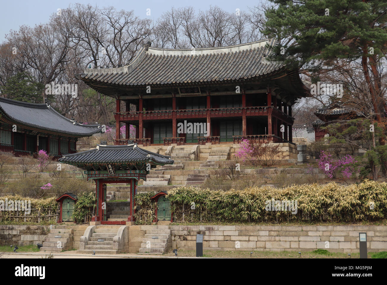 The Juhamnu Pavilion in the Secret Garden or Huwon of the Changdeokgung Palace in Seoul, South Korea, was a favorite of the royal family, had library. Stock Photo