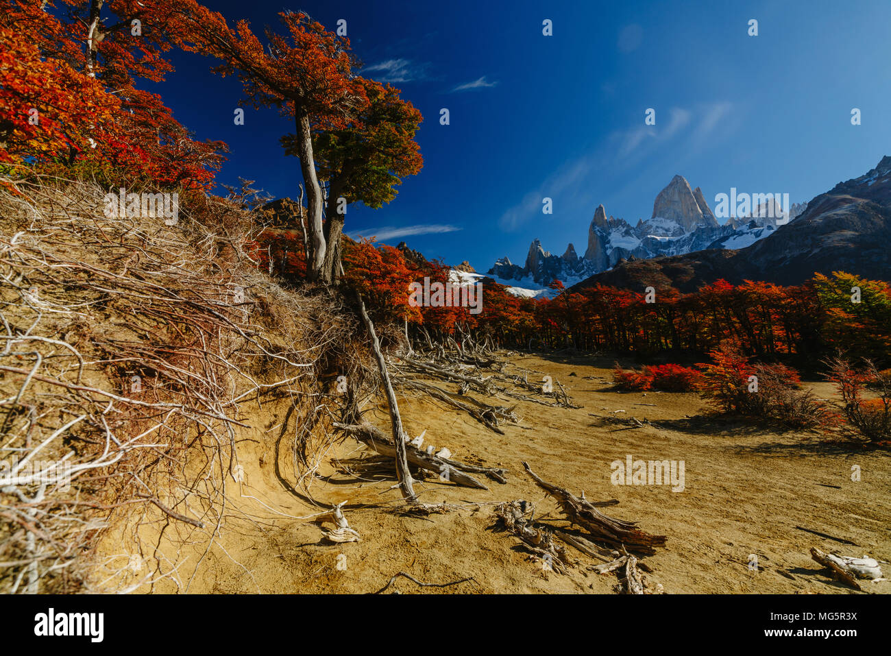 View of Mount Fitz Roy National Park Los Glaciares in the daytime ...
