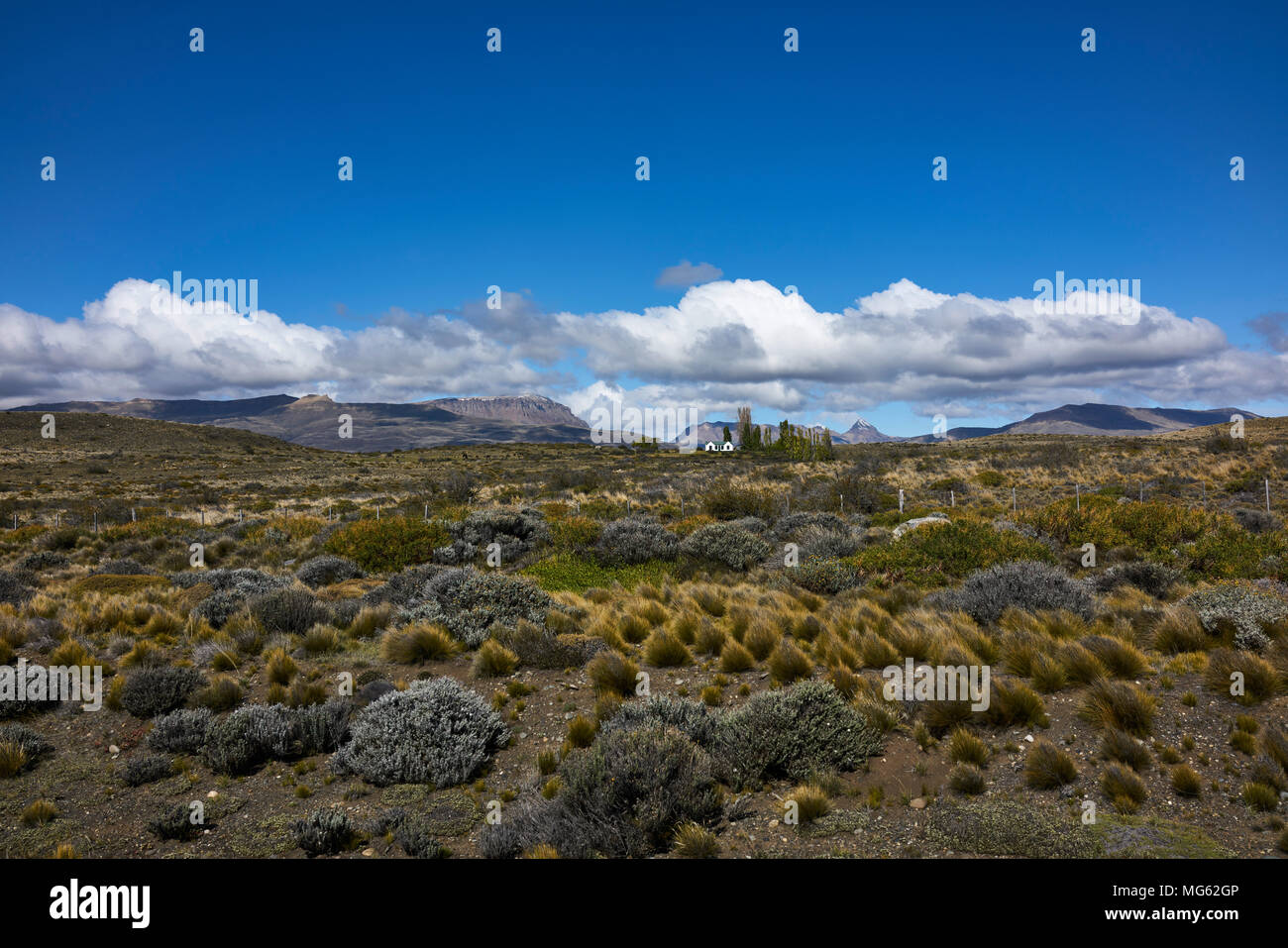 Patagonian steppes panorama on a summer day. A bright blue sky above. Horizon over land. Diminishing perspective. Stock Photo