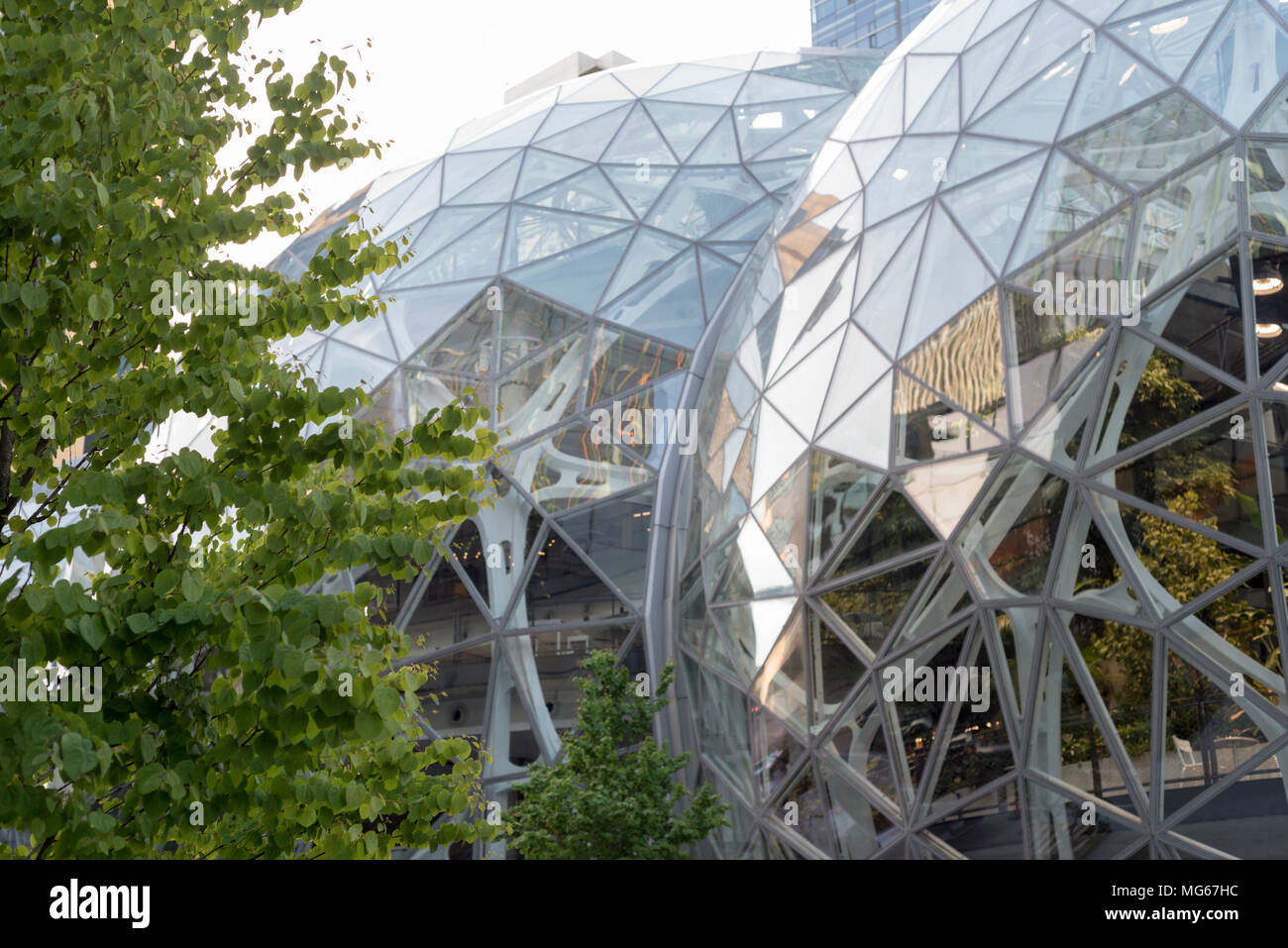 The Amazon Company world headquarters Spheres terrarium green houses