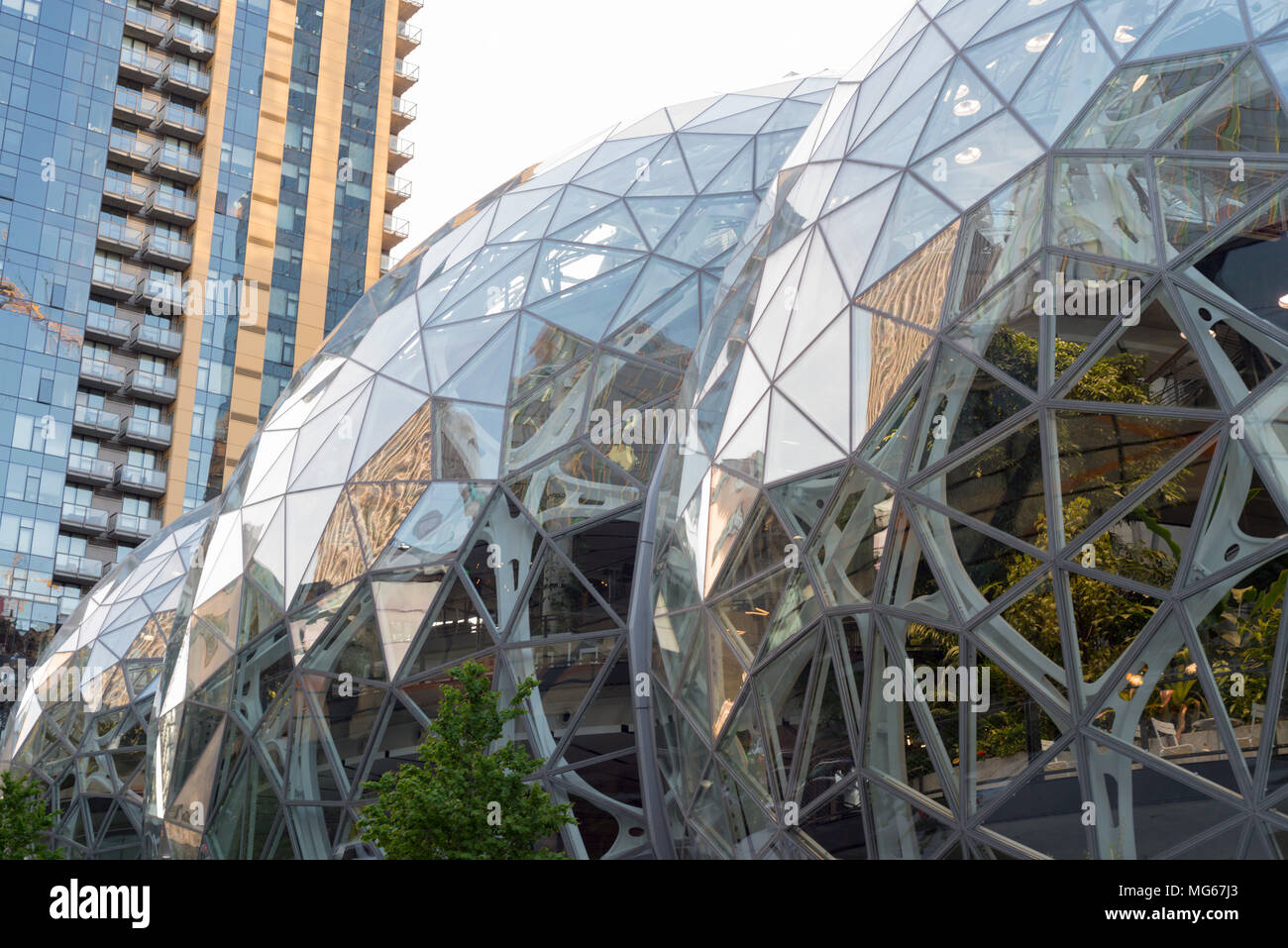 The Amazon Company world headquarters Spheres terrarium green houses