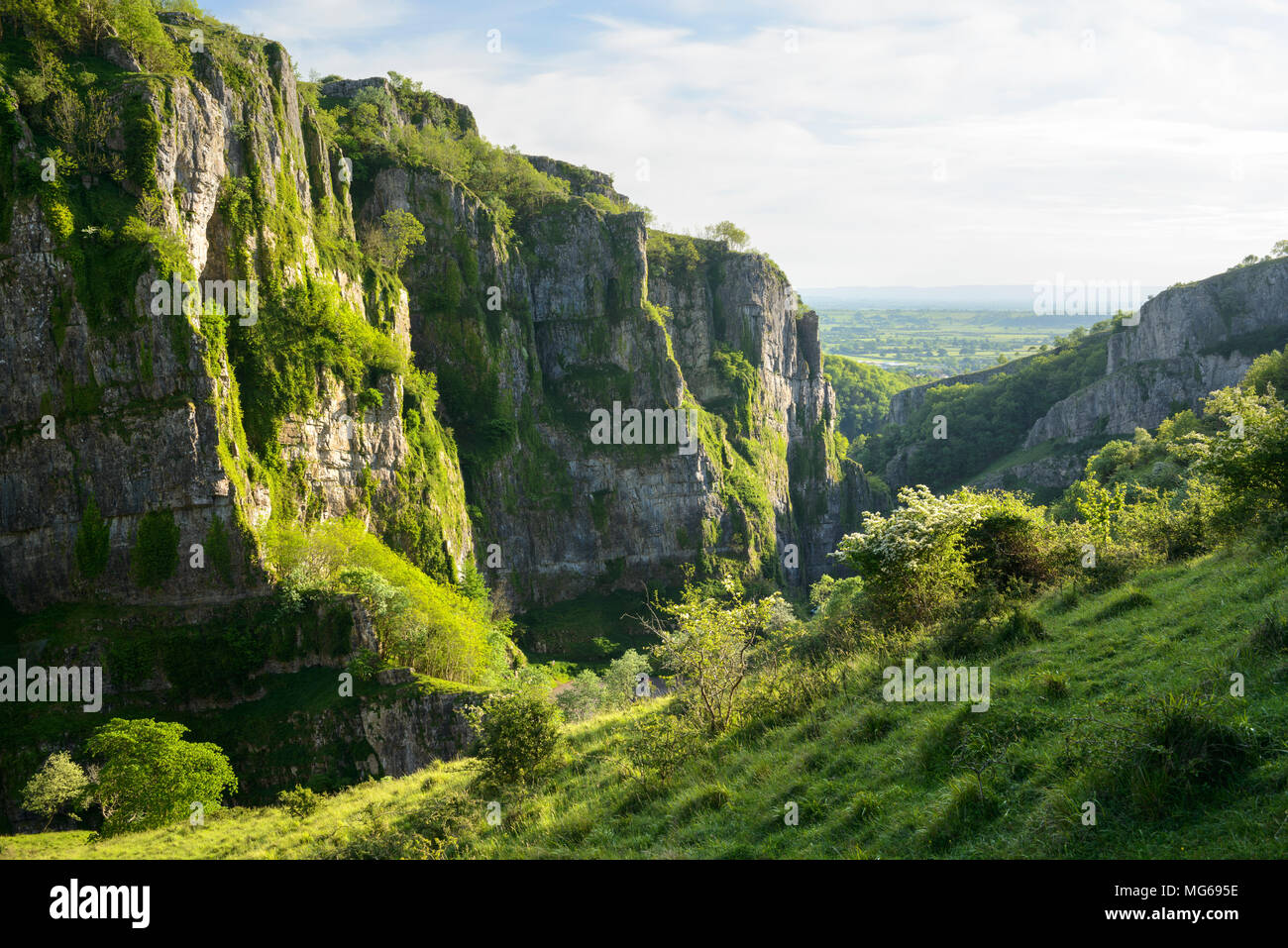 Cheddar Gorge, Somerset, on a gloriously sunny spring afternoon. Stock Photo