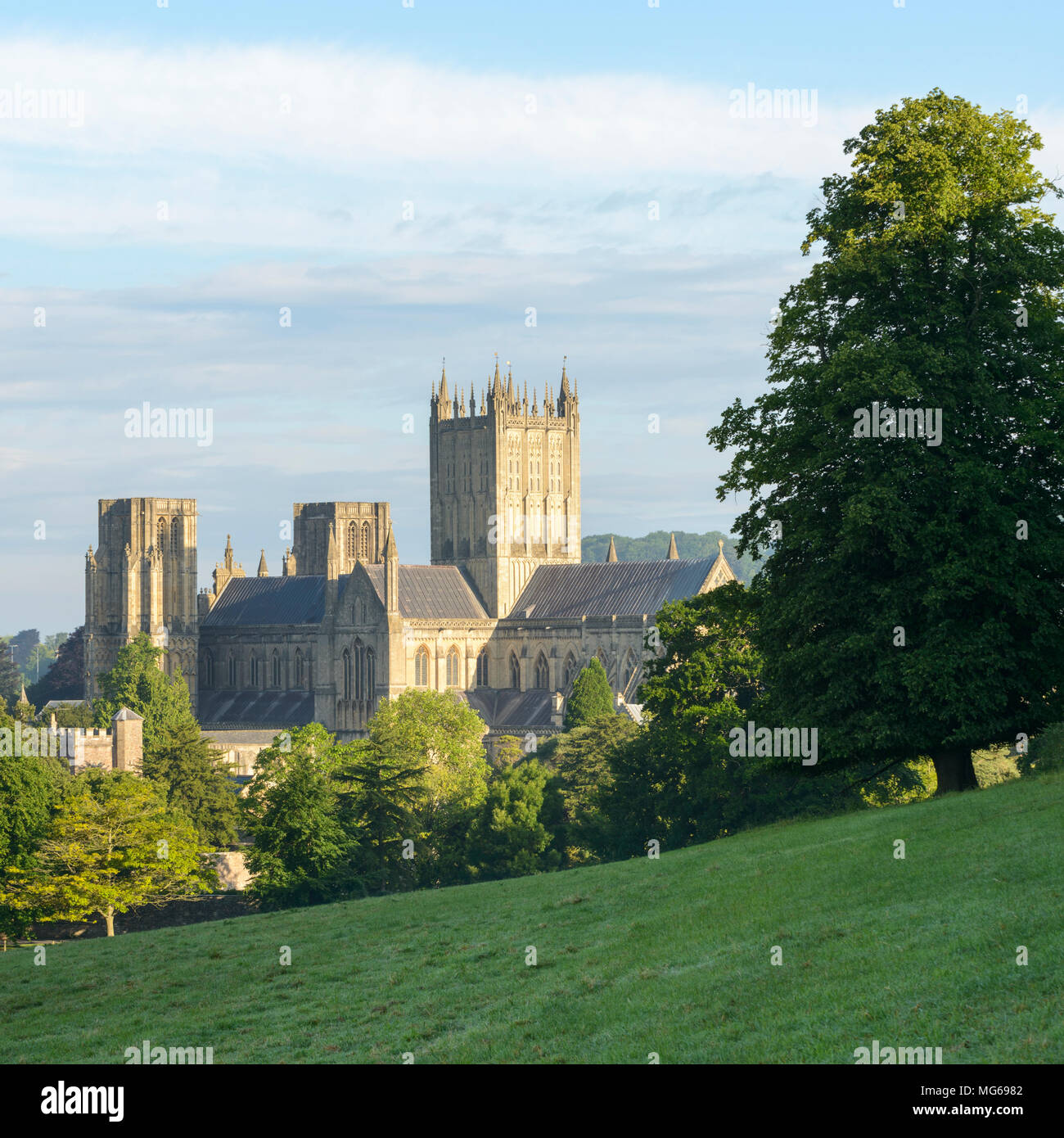 The east face of Wells Cathedral, Somerset, on a sunny summer morning. Stock Photo