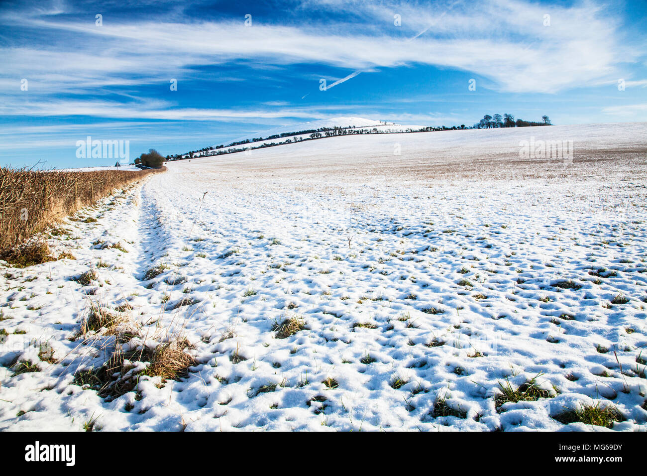A winter morning on the Downs in Wiltshire. Stock Photo