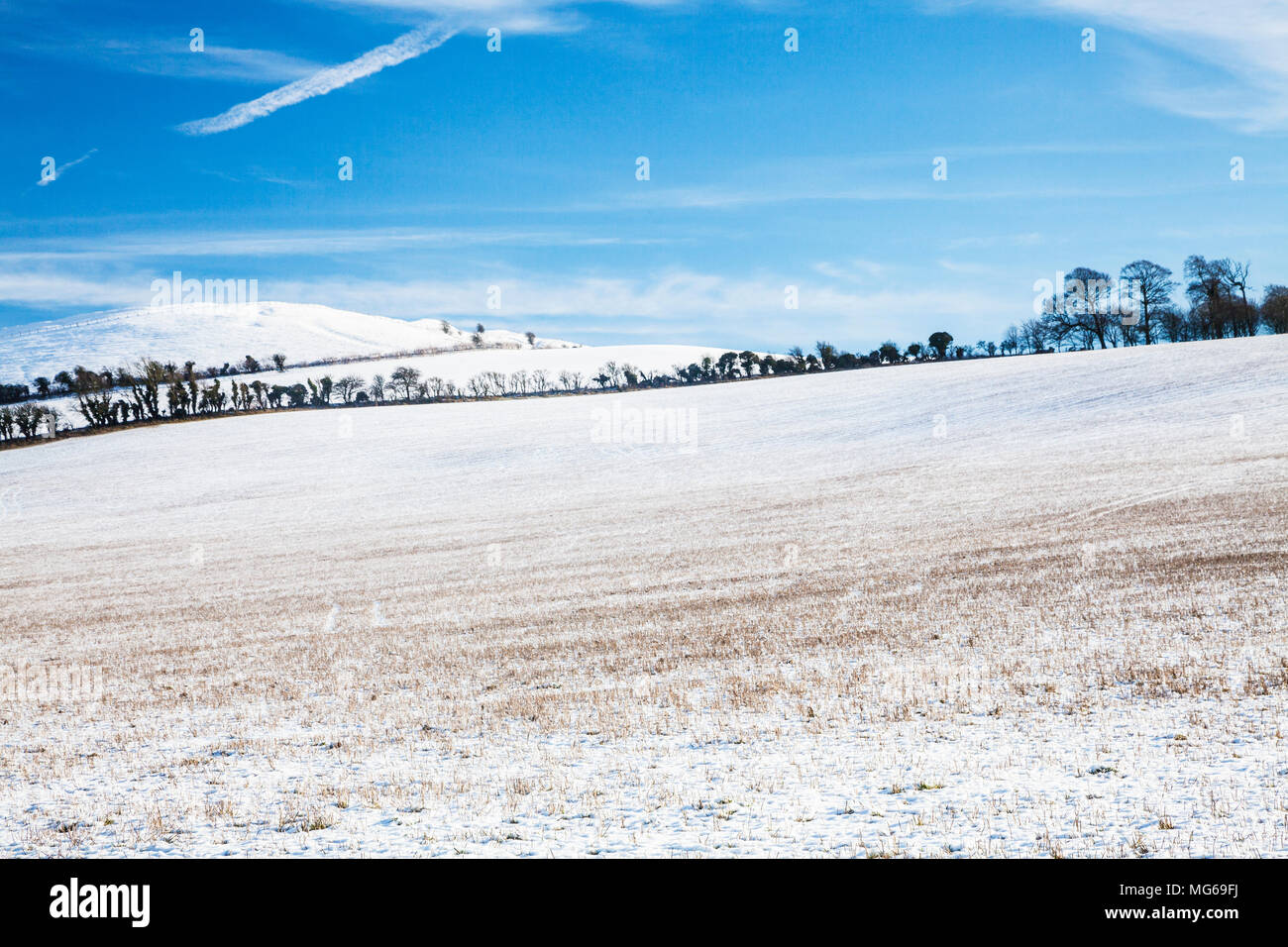 A winter morning on the Downs in Wiltshire. Stock Photo