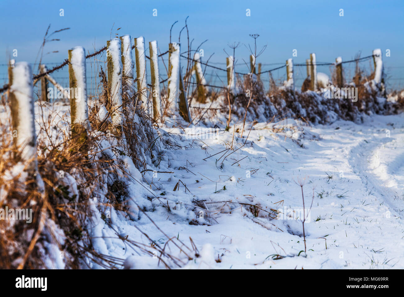 A barbed wire fence in the snow taken using a very shallow depth of field. Stock Photo