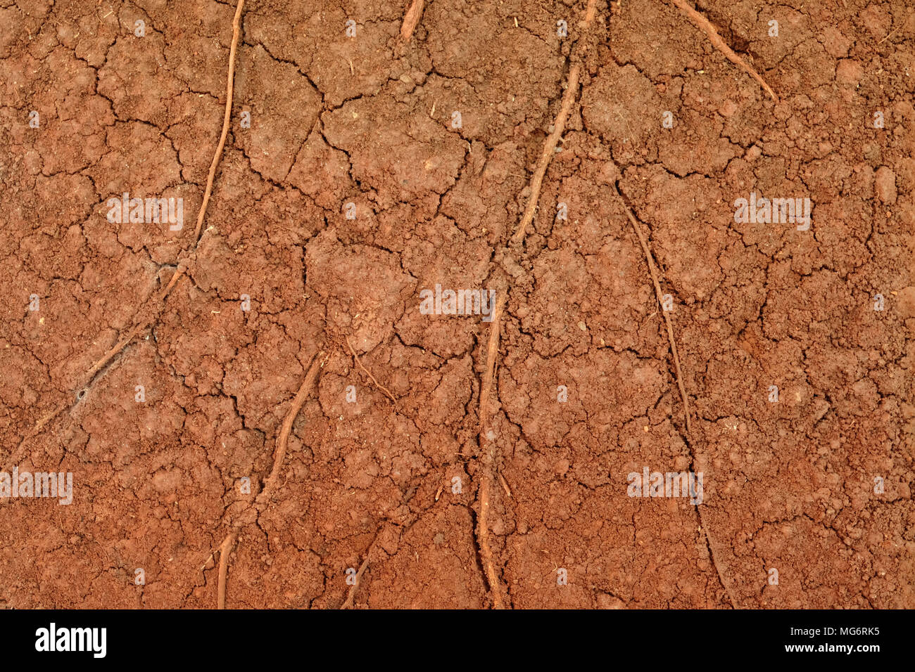 peat soil texture background Stock Photo Alamy