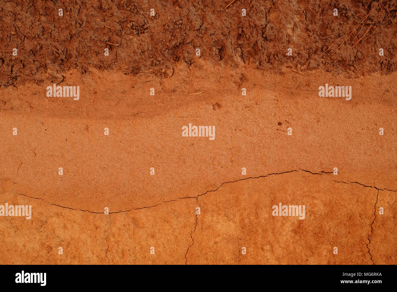peat soil texture background Stock Photo Alamy