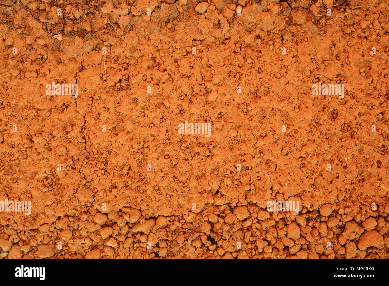 peat soil texture background Stock Photo Alamy