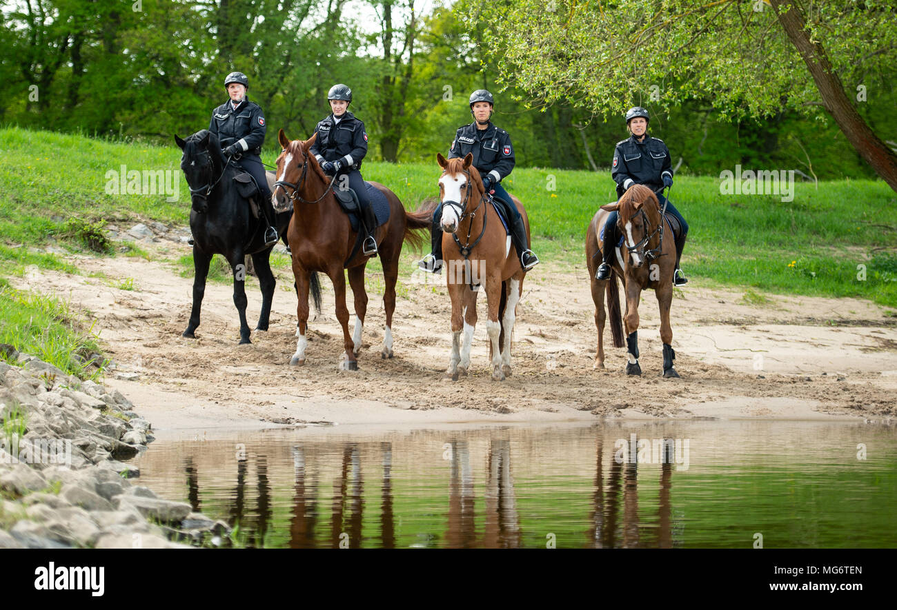 27 April 2018, Germany, Gartow: Police officers Lisa Warthemann (left to right), on her service horse Kurfuerst, Tamila Hesse, on Goya, Anneke Wintjen, on Kennedy, and Tanja Kluth, on Loriot, riding along the shore of the river Elbe during a photo shoot for the press. Mounted police will be on patrol along the river Elbe until early September in order to keep an eye on polluting behavior by visitors to the biosphere preserve 'Niedersaechsische Elbtalaue'. Photo: Philipp Schulze/dpa Stock Photo